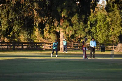 DSC_2391 (Large).JPG